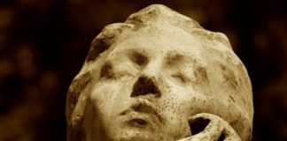 Connettere prospettive tra mutualismo e intelligenza artificiale