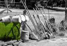 La comunità delle radici